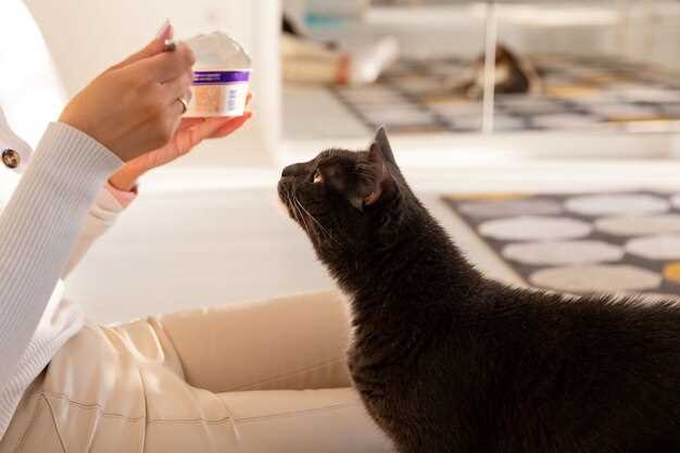 Buy prednisolone for cats safe anti-inflammatory steroid tablets fast delivery vet approved