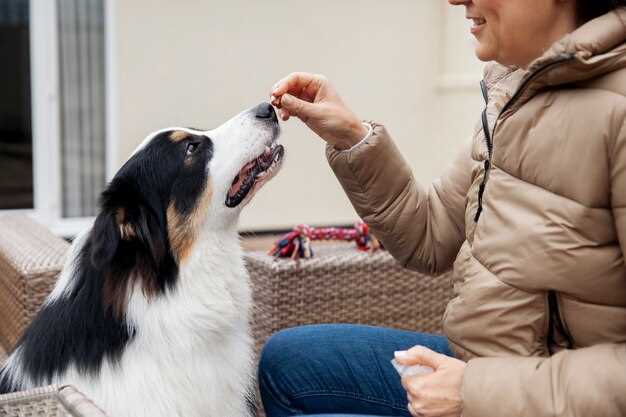 Price shock comparison: £0.09 per 5 mg tablet at Tesco vs £1.20 at the vet–save £200+ on a 30-day course