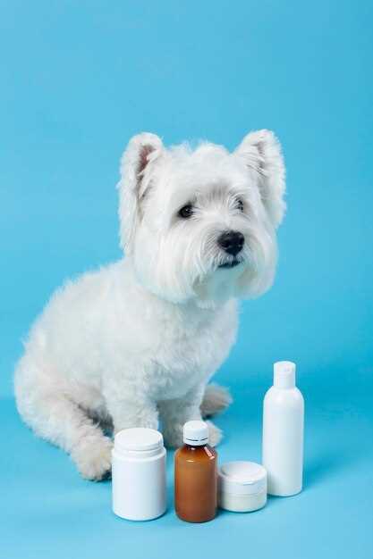 How to Dose Furosemide for a 20-lb Beagle: mg-to-lb Cheat Sheet Vets Hide in Notes
