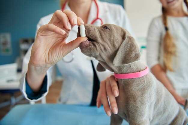 Dog Furosemide: 7 Vet-Backed Hacks to Flush Fluid FAST Without Second Guess