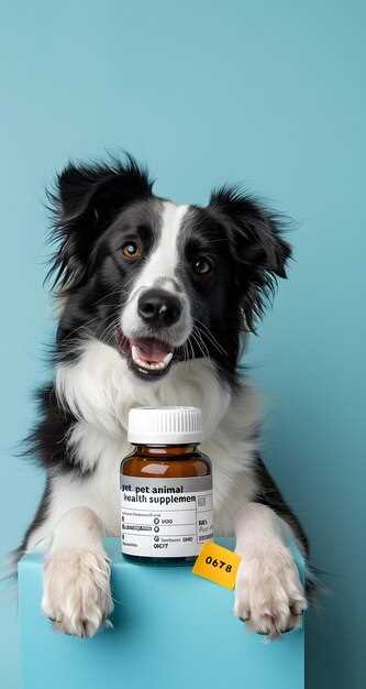 Safe Lasix Dose for Dogs Vet Backed Guidelines for Heart Kidney Relief