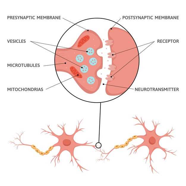 5. Spinal cord injury ache