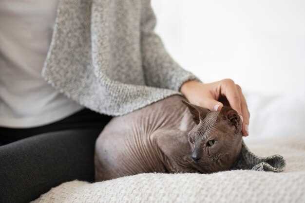 Prednisolone & Diabetes: 4 Warning Whisker-Twitches to Spot Before the Next Vet Visit