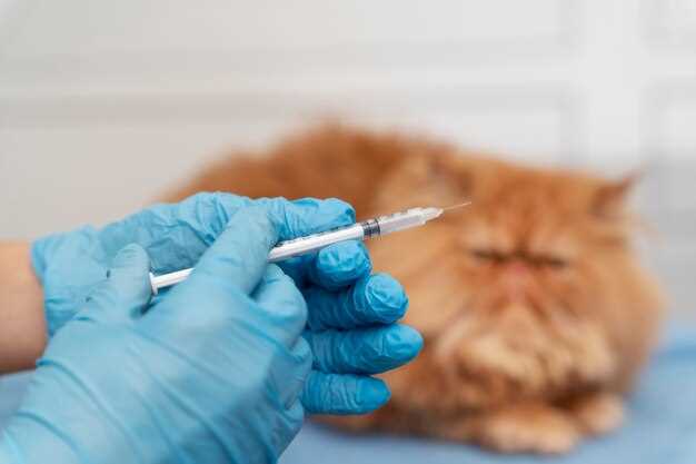 Feline prednisolone dosage side effects and safe tapering guidelines for cats