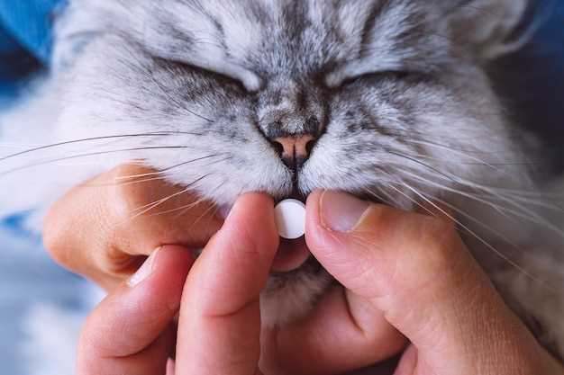 4. Litter-Box Math