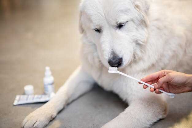 Vet-approved home schedule (no clinic stamp needed)