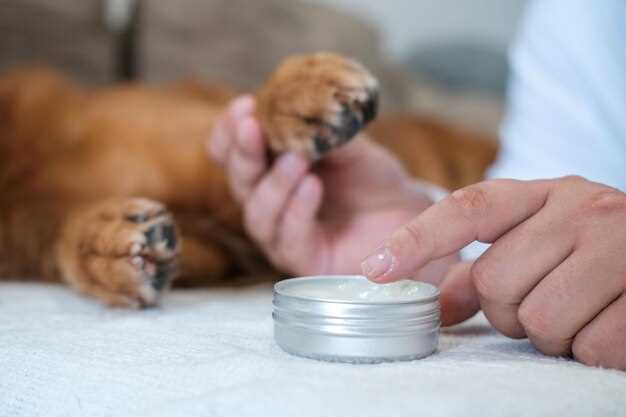 Furosemide dosage for dogs per kg chart and safe administration guide