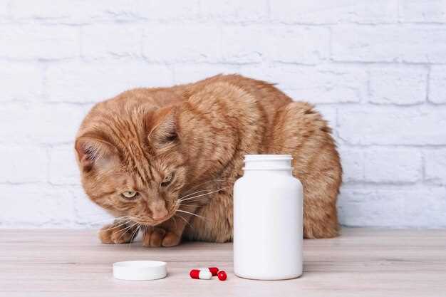 Twice-a-Day or Every 8 Hours? Real Schedule That Fits Feeding & Sleep Without 3 AM Wake-Ups