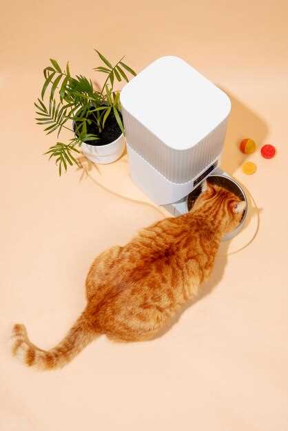 How 1/4 of a 20 mg Furosemide Tablet Can Stop a Cat’s Lung Flood in 23 Minutes–Exact Dose Chart by Weight