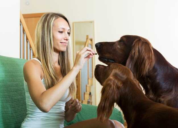 Missed a Dose at 10 pm: Double Up or Skip? The 3-Step Night-Time Rule Every Owner Needs