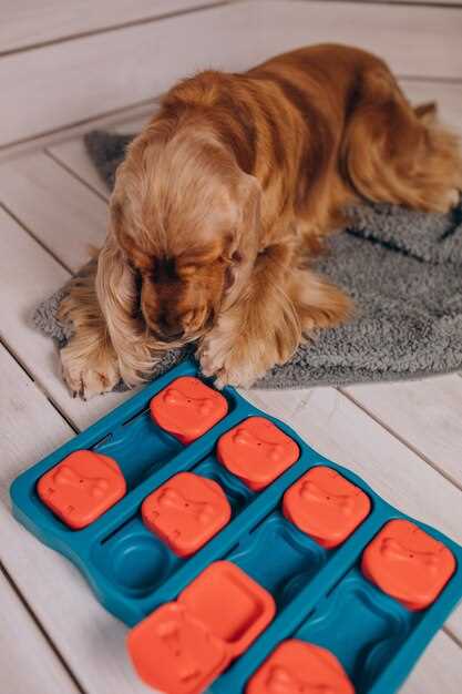 Furosemide for dogs dosage side effects and safe administration guide