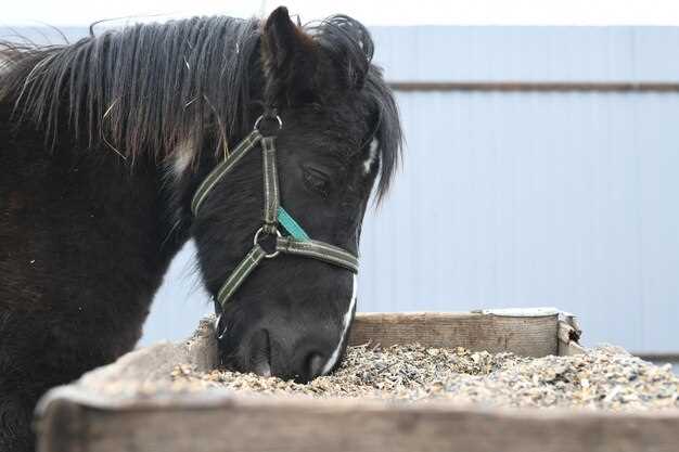 Needle-shy mare? 3 stress-free oral paste tricks that hide the bitter Salix taste