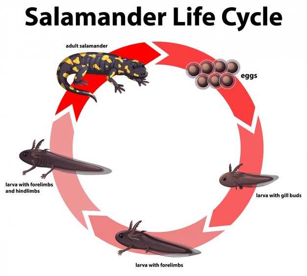 2. Salt is not the enemy–timing is