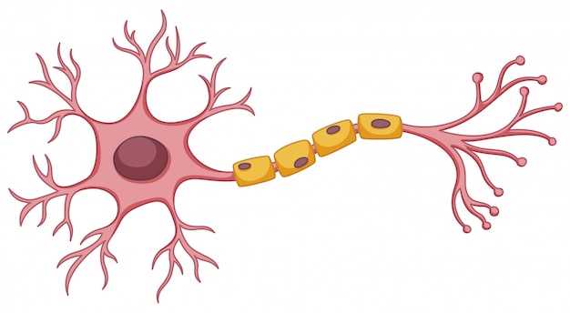 What Pharmacists Won’t Tell You About Gabapentin vs. Brand-Price Neurontin