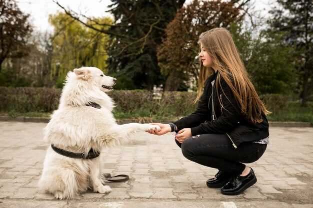 How much lasix can i give my dog safe dosage chart by weight vet guidance