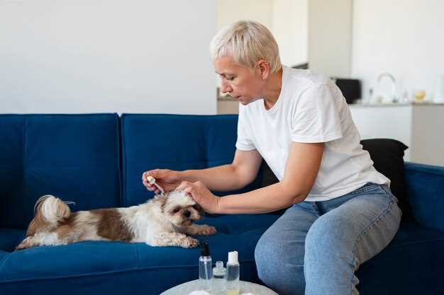 Lasix 12 5 mg for dogs dosage safety side effects and veterinarian guidance