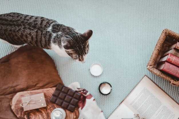 Exact Lasix Dosage for Cats: Vet-Charted mg/kg Schedules That Save Kittens from Fluid Overload