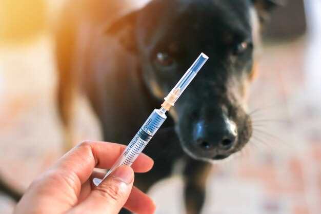 Lasix dose for dogs safe administration and mg per kg chart for heart failure