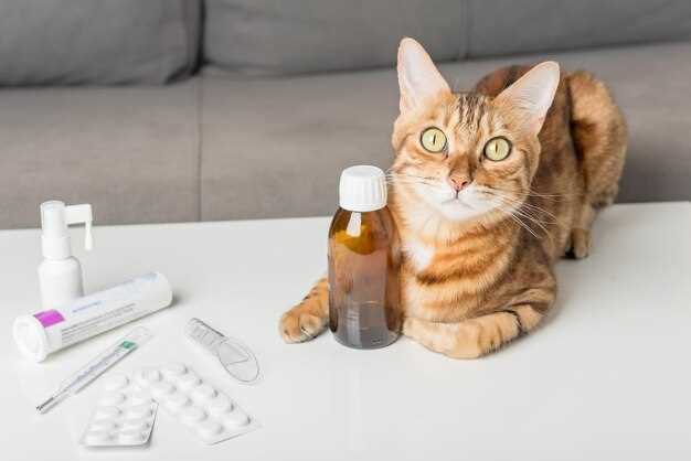 Lasix for cats dosage heart failure kidney disease side effects veterinary guide