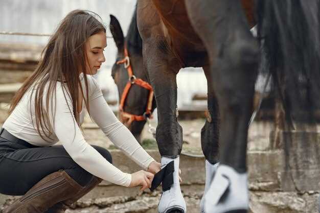 Lasix for horses dosage side effects administration and veterinary guidelines explained