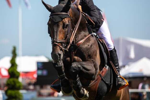 Lasix horse racing rules dosage controversy betting strategies welfare debates