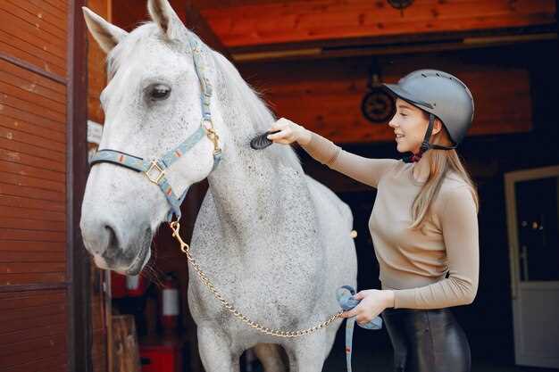 Lasix in racehorses performance regulation veterinary protocols and ethical debates