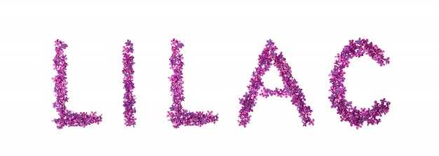 Clone-Proof: The Exact HTML Schema That Stops Copycats From Hijacking Your Lasix Name Snippet