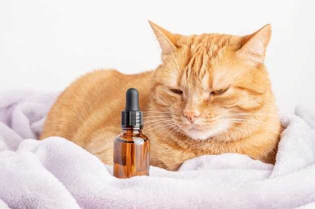 Chicken, tuna, or empty stomach? Timing the dose to stop vomiting in 24 h