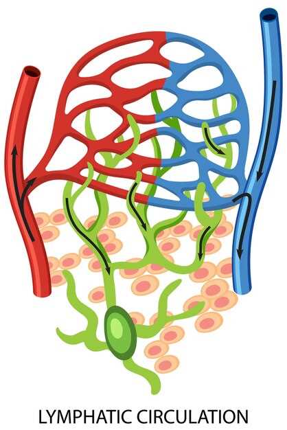 Dosage Math: How 75 mg Lyrica Equals 900 mg Neurontin Without the Extra Capsule Burden