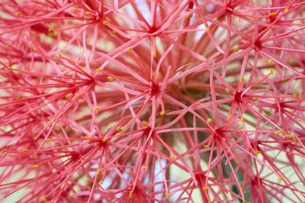 Hidden subsidy: how pensioners unlock $7.30 Neurontin repeats through the RPBS loop