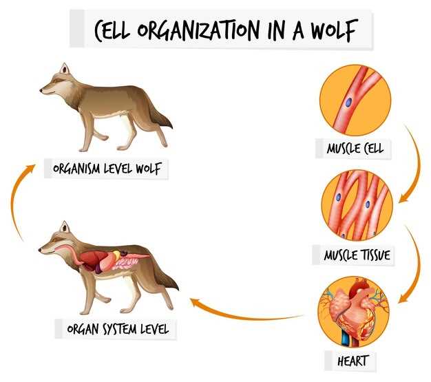 Hidden Apple-Flavored Recipe That Turns Neurontin Powder Into Tail-Wagging Treats