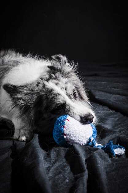 $9 Generic vs. $90 Pfizer: Where to Buy Legit canine Gabapentin Online in 2024