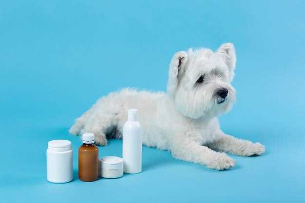Can You Give Rimadyl, Tramadol & Neurontin Together? 24-Hour Schedule Inside