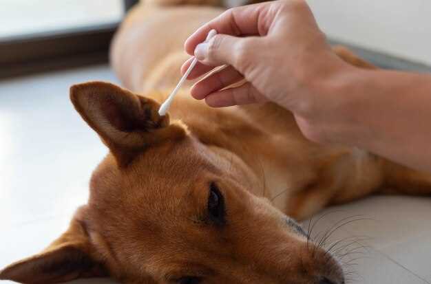 Red Flags After First Dose: When to Call the Vet in Under 30 Minutes