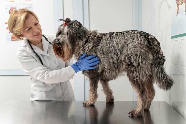 Missing One Dose–Seizure Risk or Just Whining? 3-Step Re-Dose Rule Vets Text Each Other