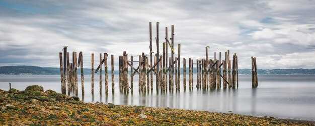 Royalty-Free or Risky? 5 Reverse-Search Tricks to Verify Your Lasix Photo Isn’t a $7K Copyright Lawsuit in Disguise