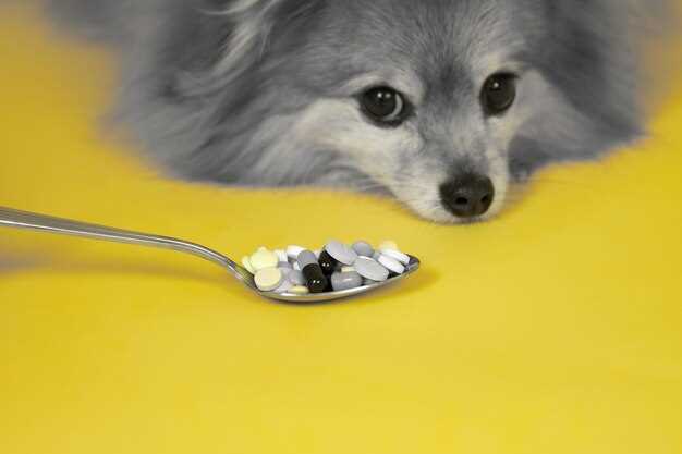 2. Breakfast Cereal Dust
