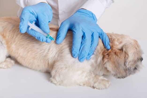 What 5 mg does to the immune answer