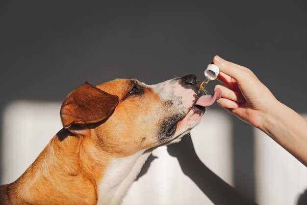 3 Sneaky Places to Buy FDA-Approved Prednisolone Drops Online at 40 % Vet-Clinic Discount