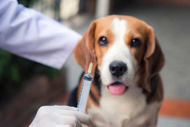 2. Panting at midnight in an air-conditioned room