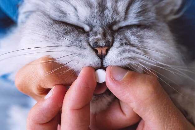 Common hiccups
