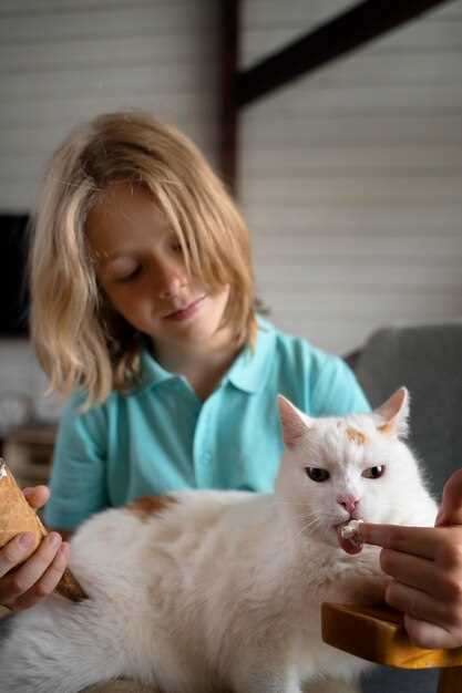 Safe Prednisolone Dosing Guidelines for Cats with Inflammatory Conditions