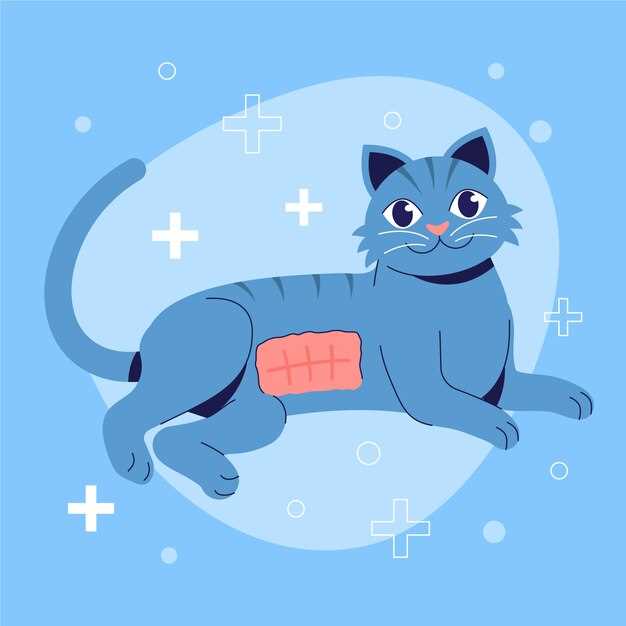 Prednisolone 5 mg vs. Prednisone 5 mg for Cats: Why the Vet Picked the “-olone” Version
