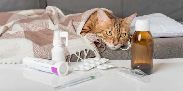 Pill, syrup, inhaler–which delivery cuts stress (and spit-outs) by 90 %?