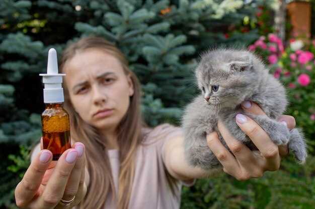 3. Know when to stop and phone a vet anyway