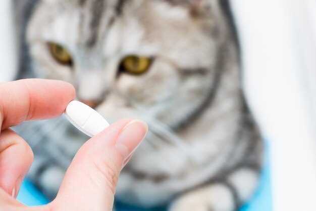 Prednisolone for cats dosage side effects safety and vet guidance for feline treatment