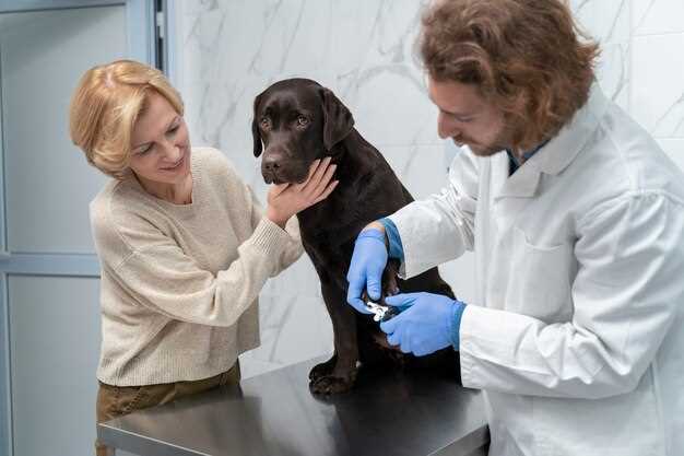 Prednisolone for dogs 20 mg dosage chart vet approved uses side effects and safety tips