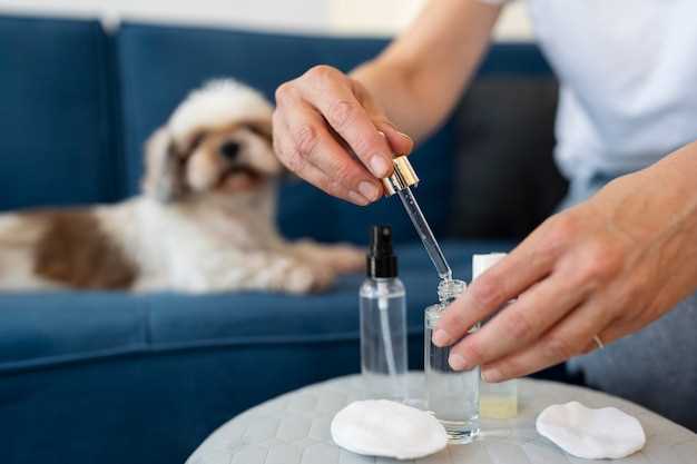Prednisolone for dogs dosage side effects safety and vet guidance explained