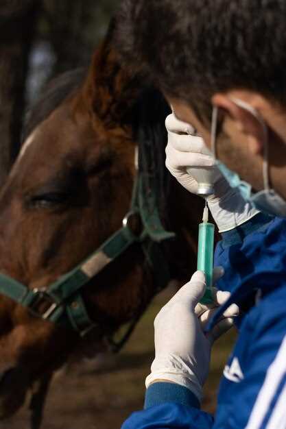 Prednisolone for horses dosage benefits side effects and veterinary guidelines