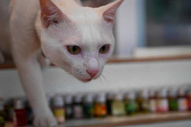 Prednisolone in cats dosage side effects safety and veterinary guidance